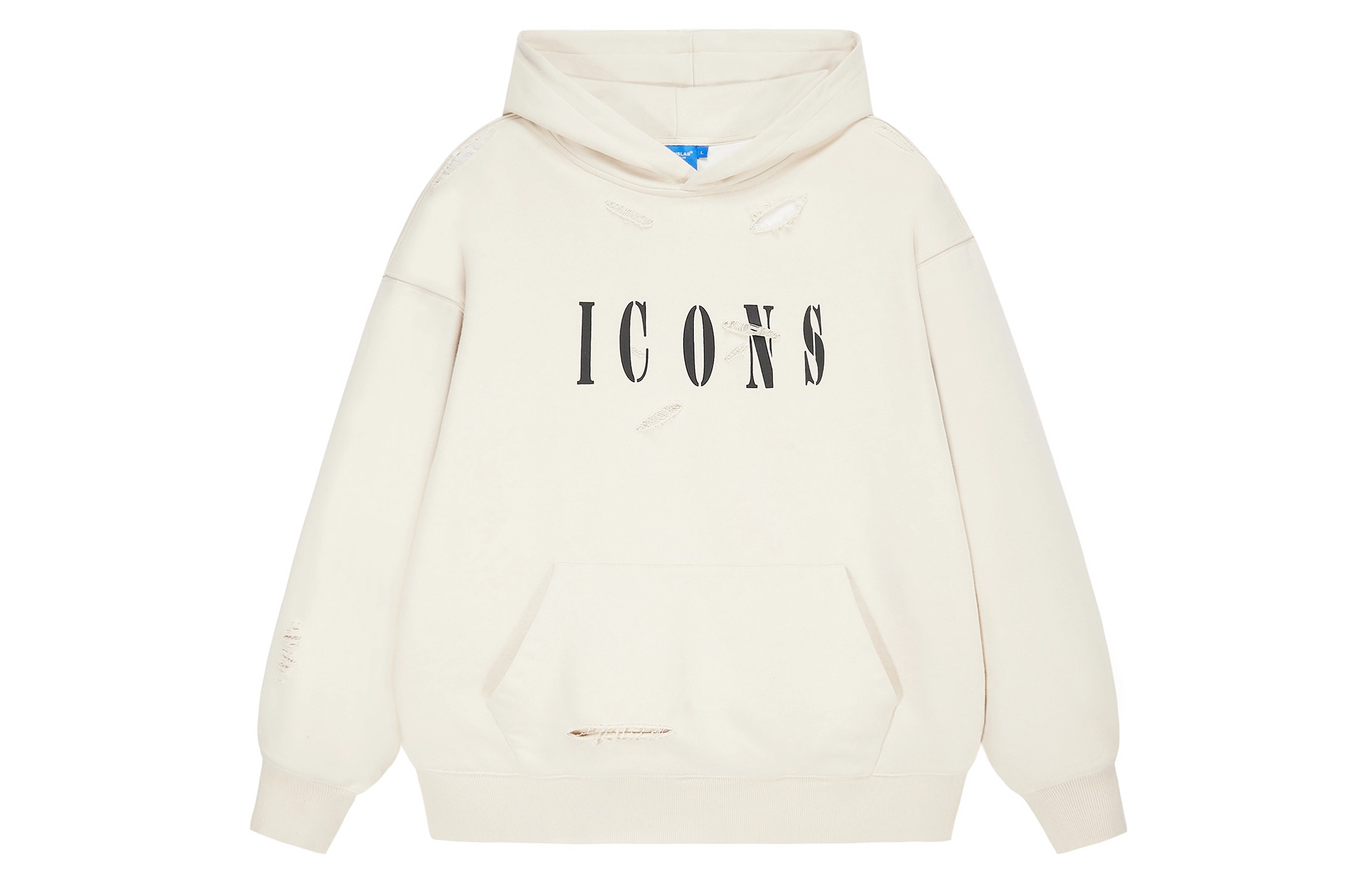 ICONS Lab