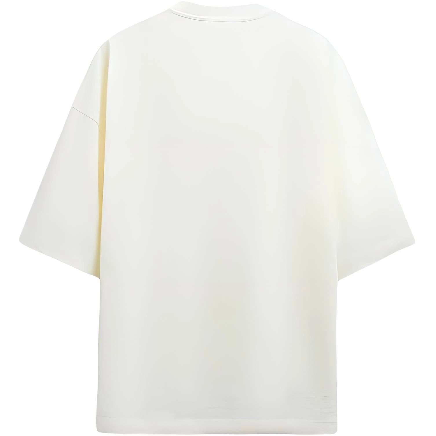 ZARA T
