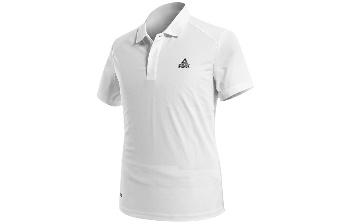 LogoPolo