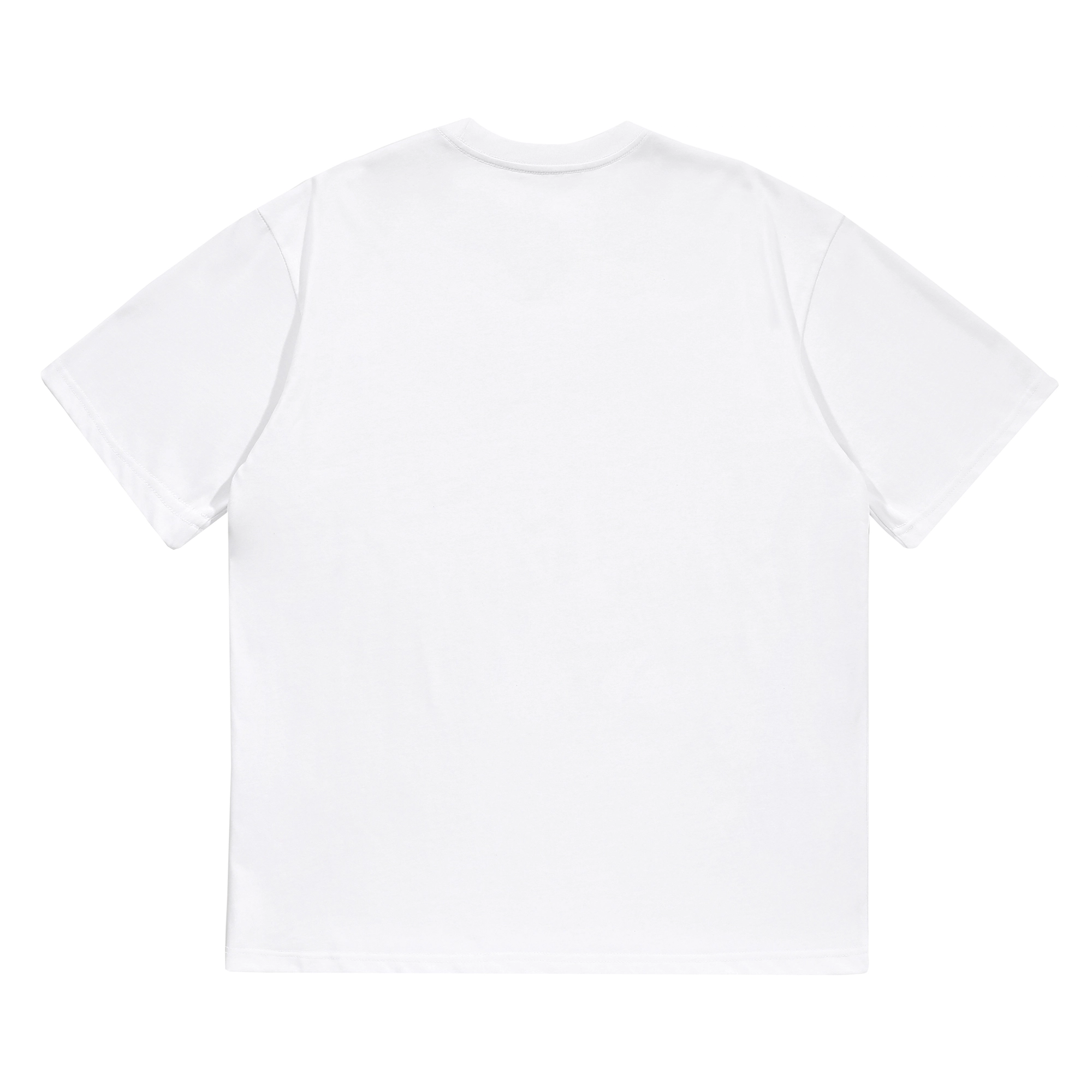 Pancoat LogoT