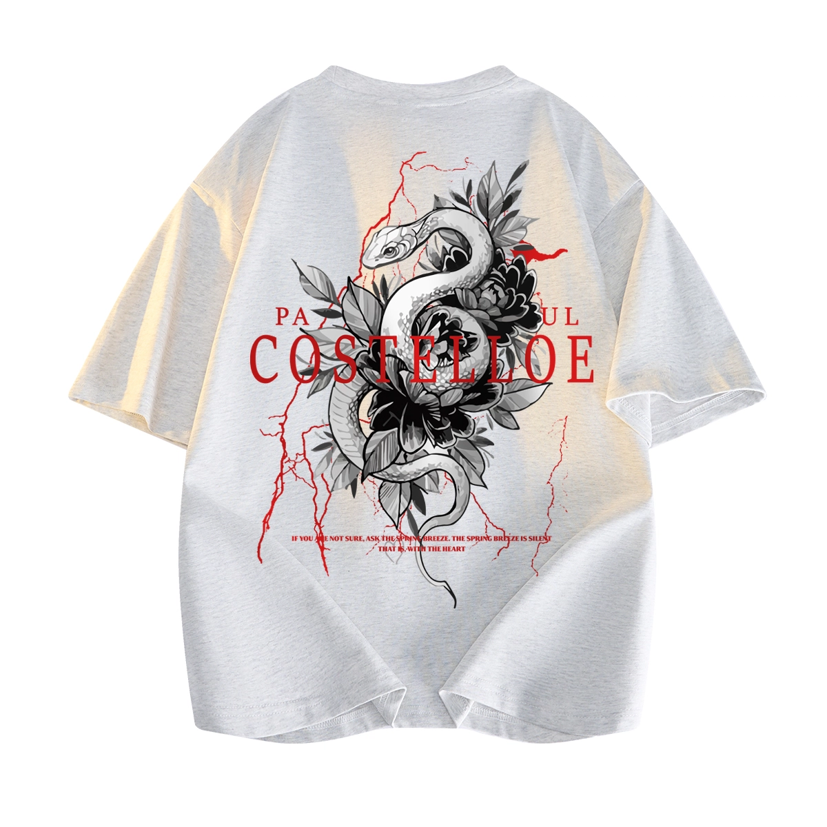 PAUL COSTELLOE T