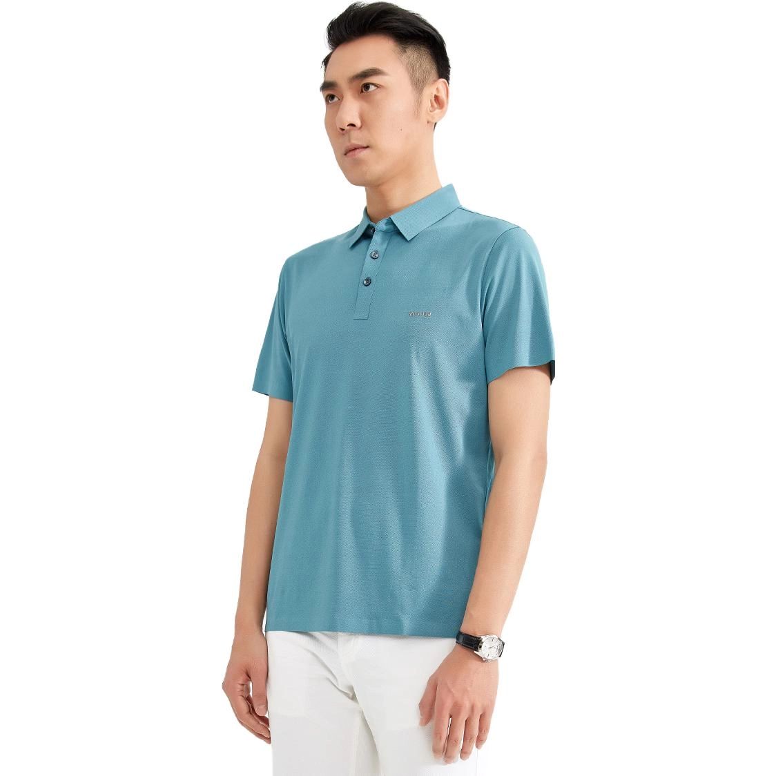 LogoPolo