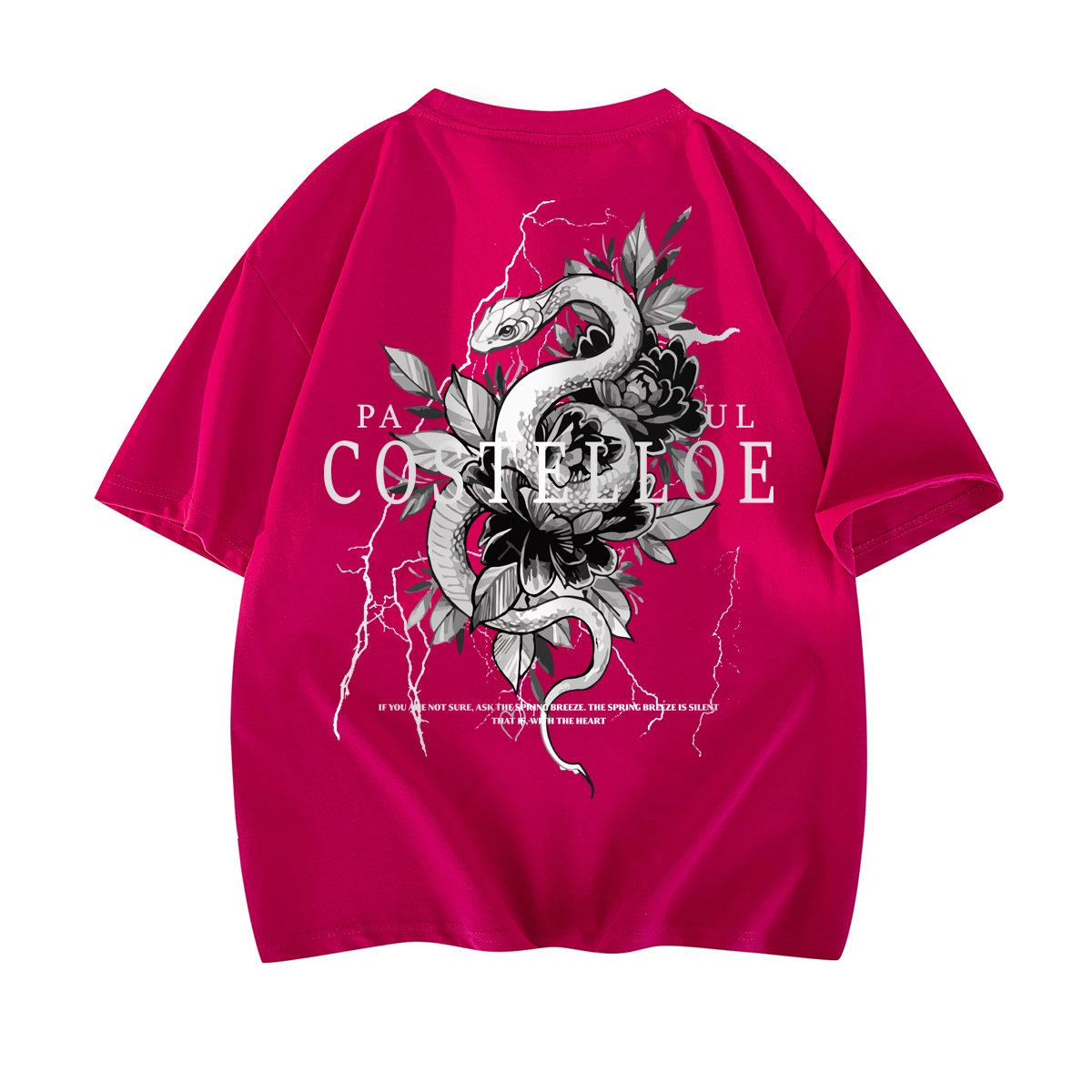 PAUL COSTELLOE T