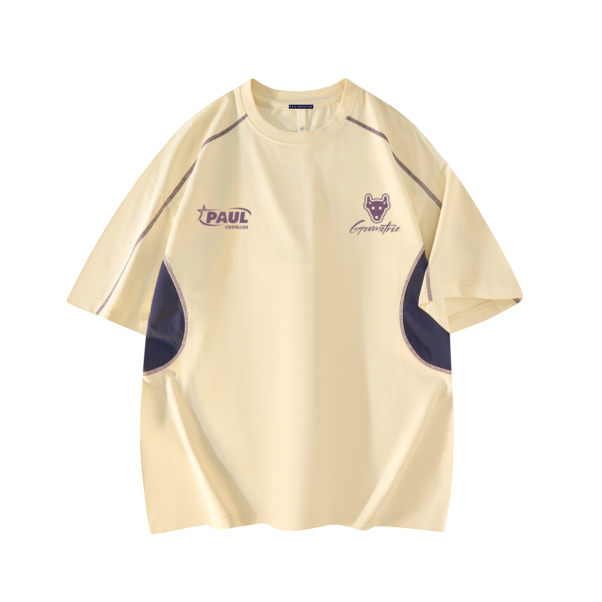 PAUL COSTELLOE T