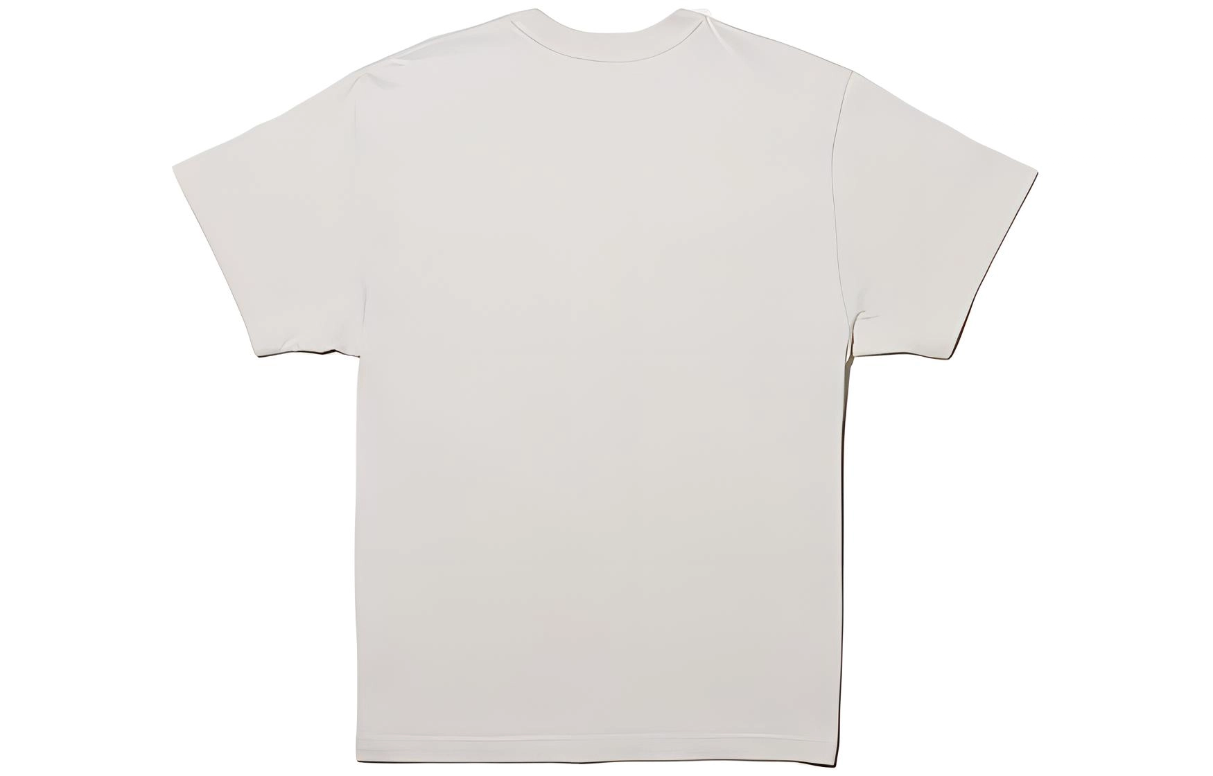 THE NORTH FACE x KAWS T
