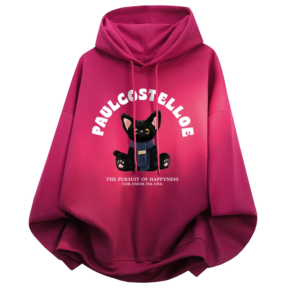 PAUL COSTELLOE logo