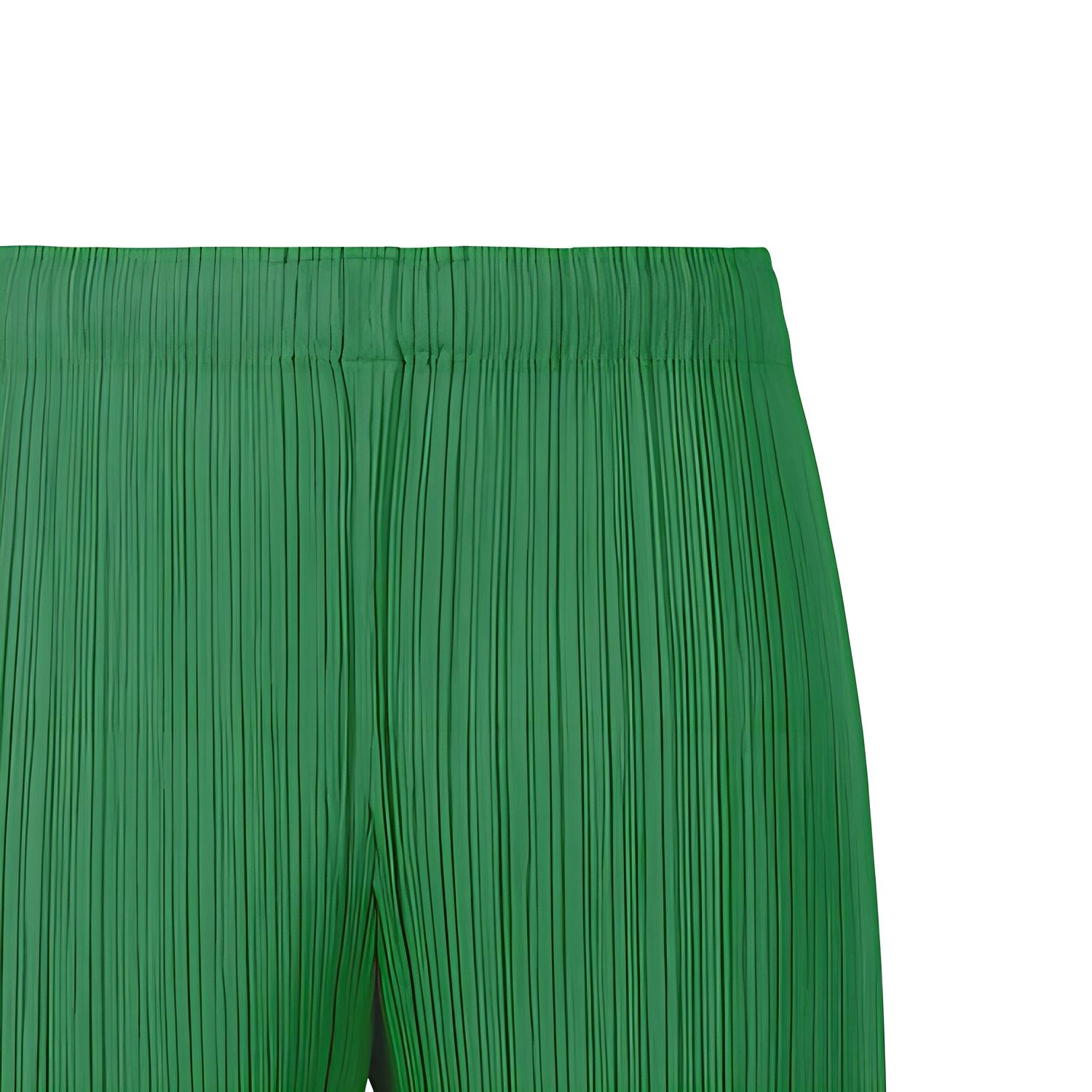 PLEATS PLEASE ISSEY MIYAKE FW23