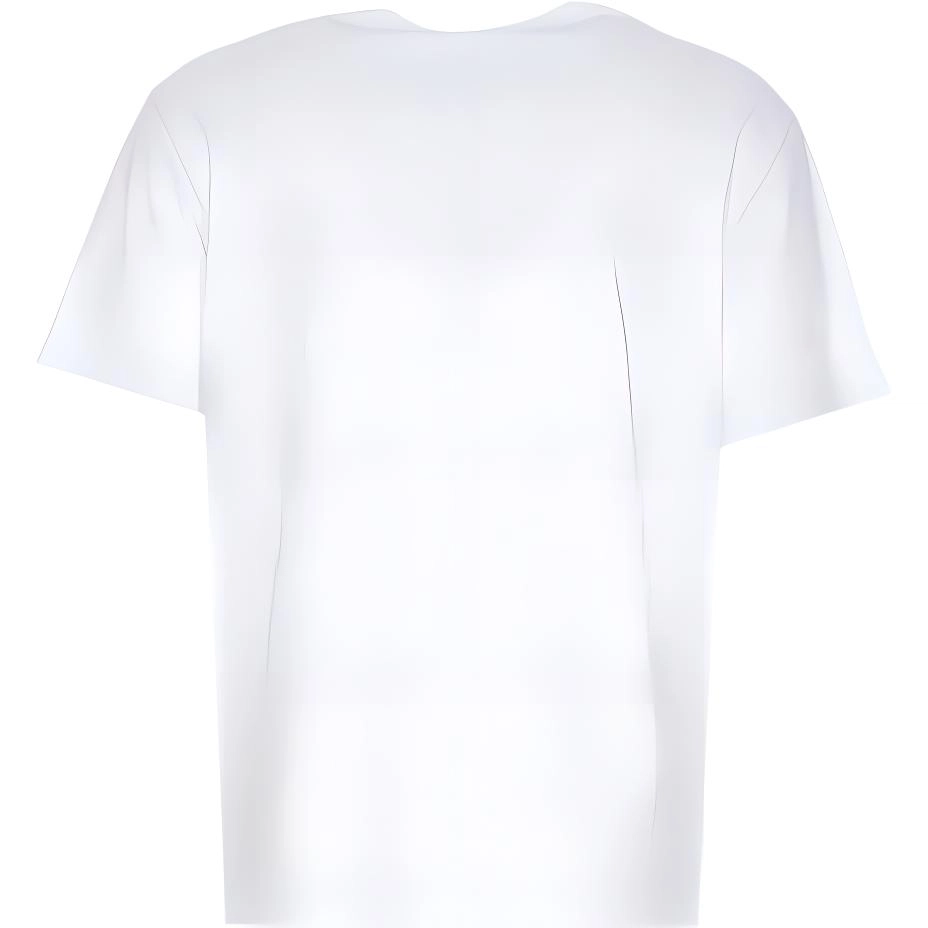 Alexander McQueen T