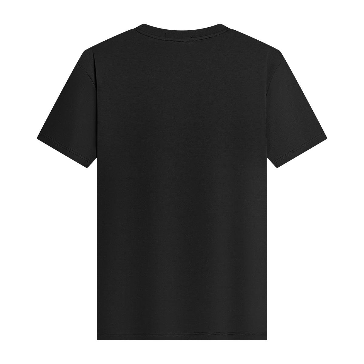 JUDGER T