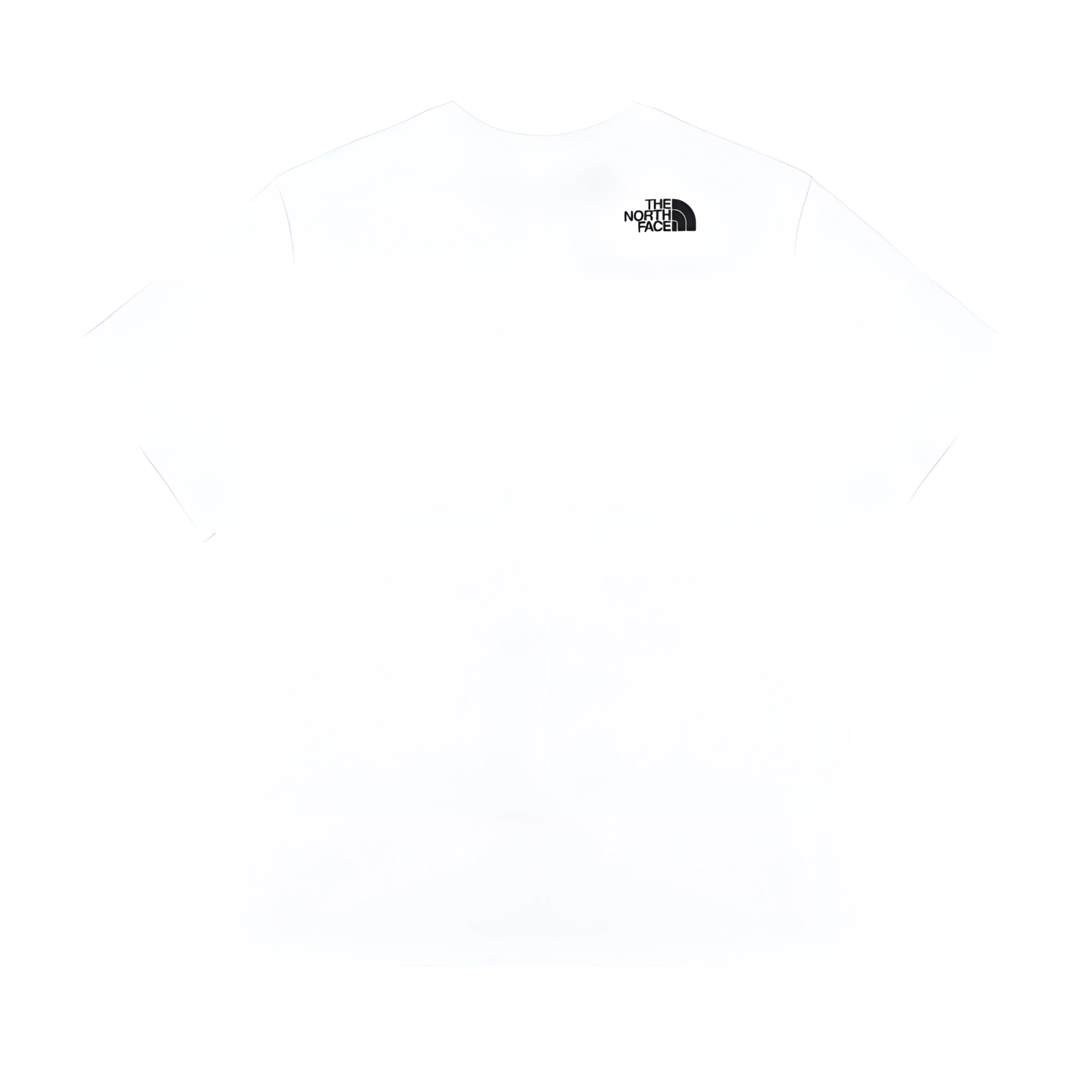 THE NORTH FACE Extraordinary LogoT