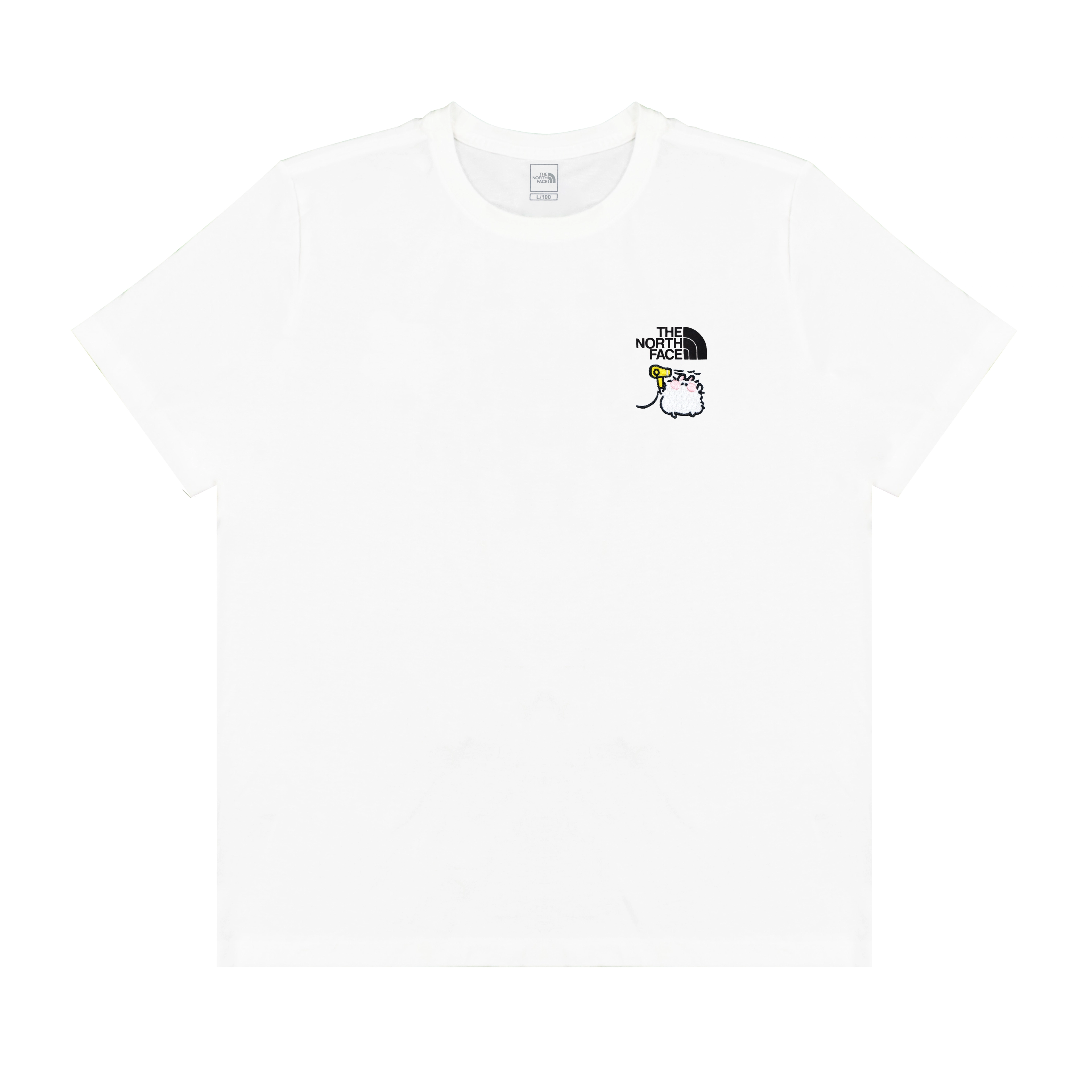 THE NORTH FACE Extraordinary LogoT