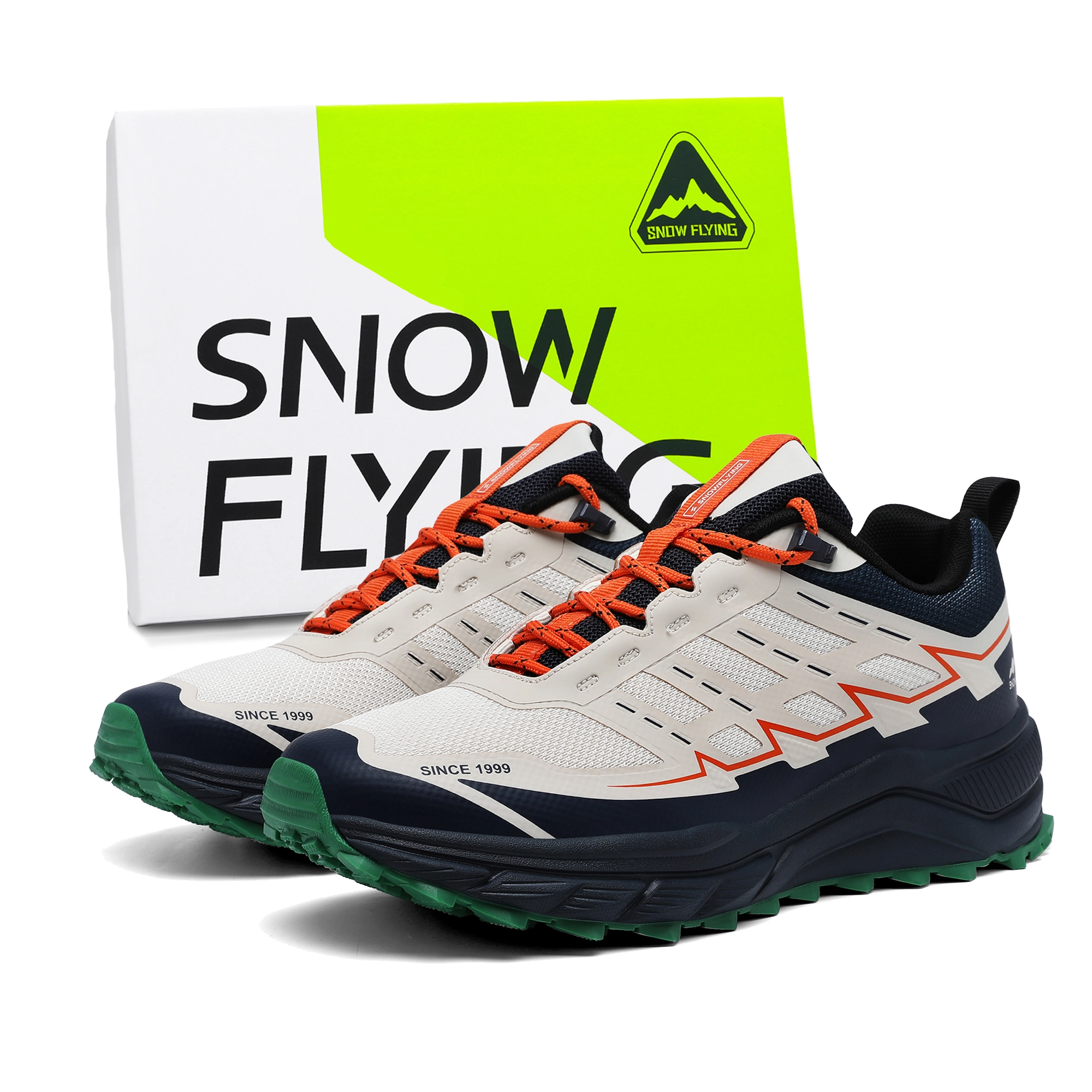 SNOW FLYING