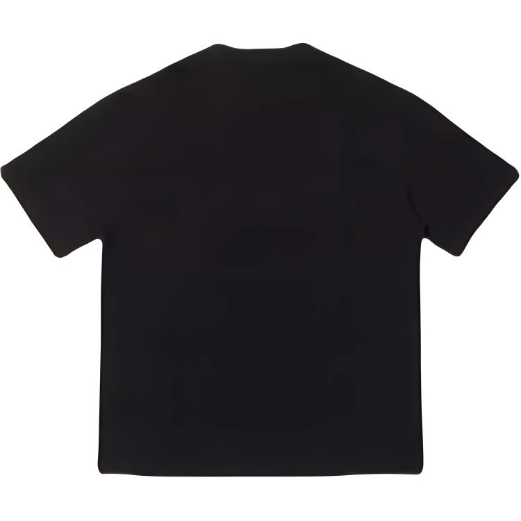 PAINT STAIN T