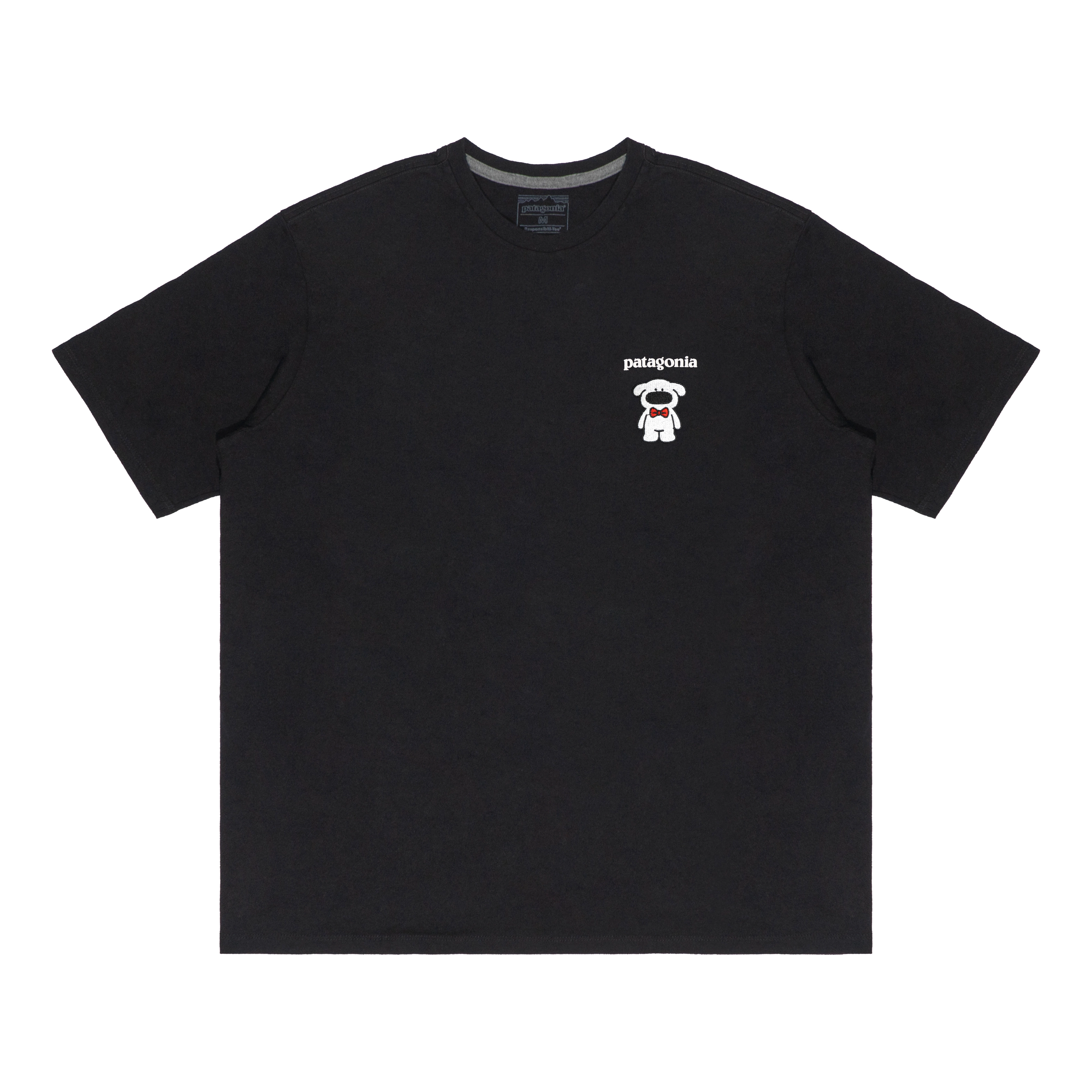 patagonia Extraordinary T