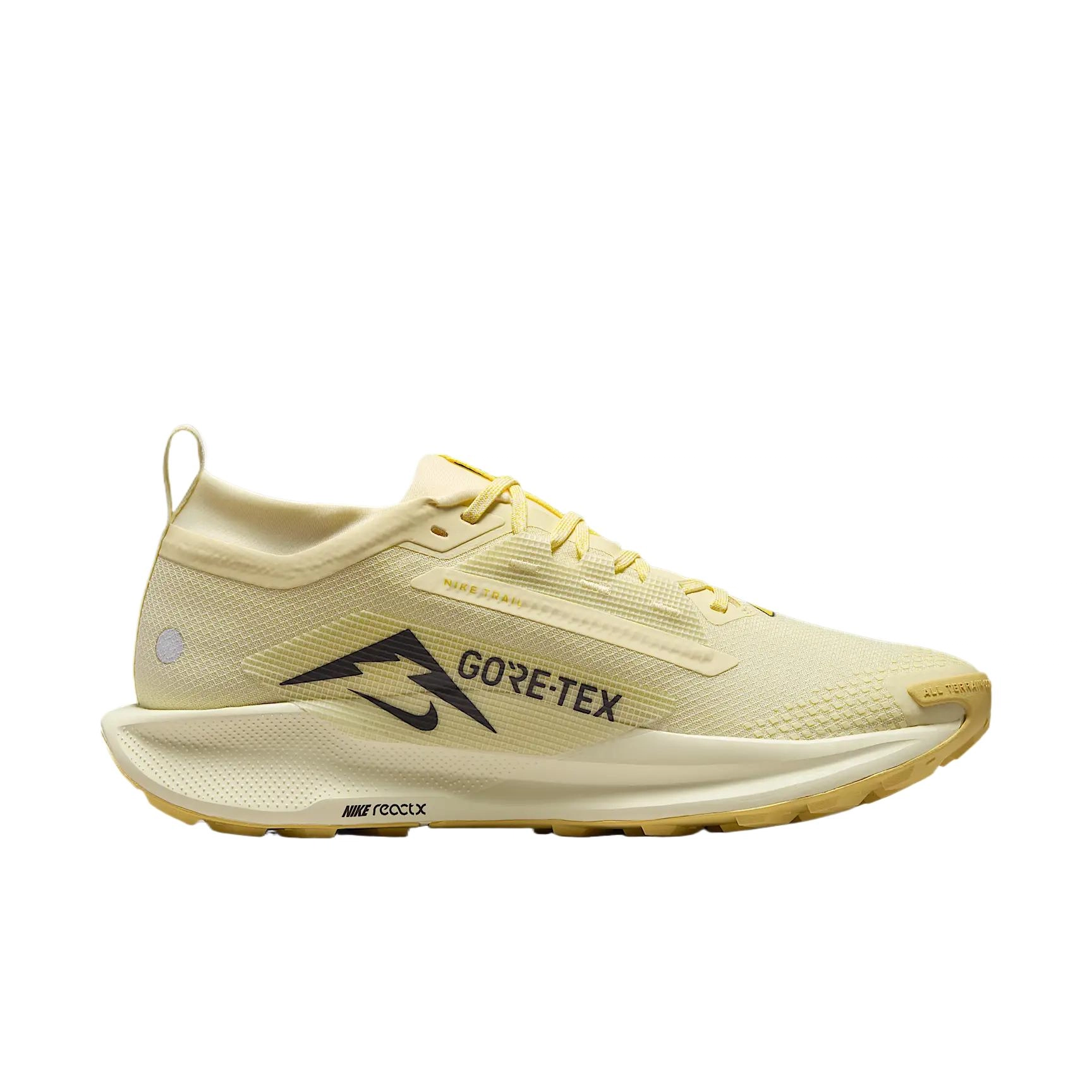 Nike Pegasus Trail 5 GORE-TEX