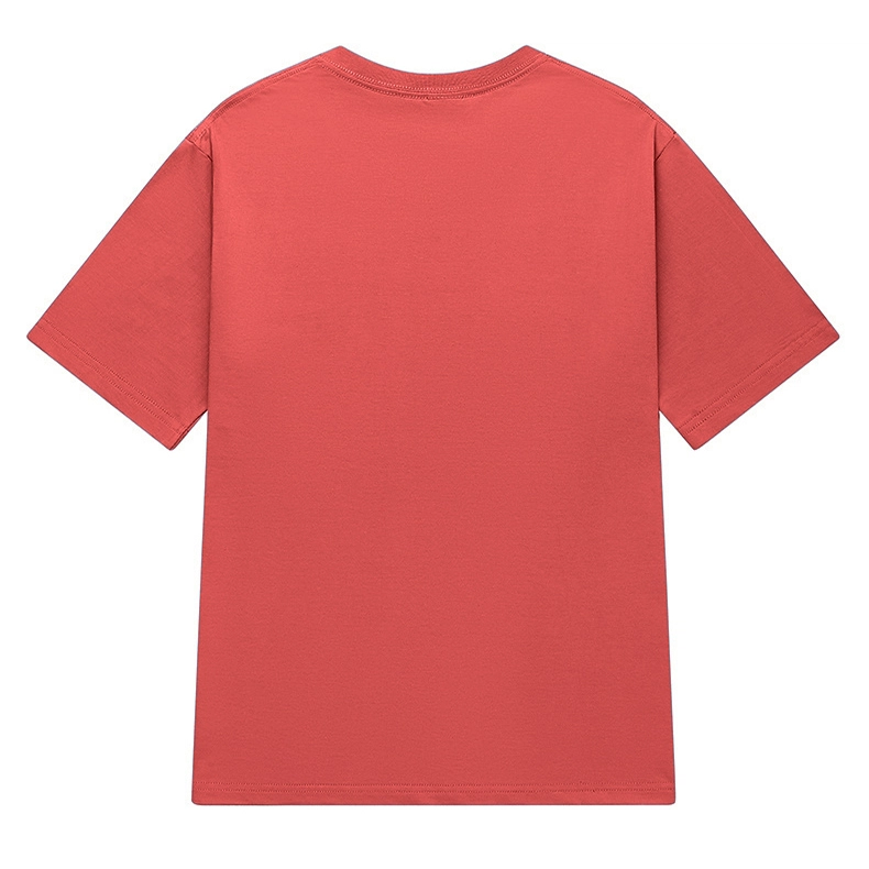 LSVE 200NASA T