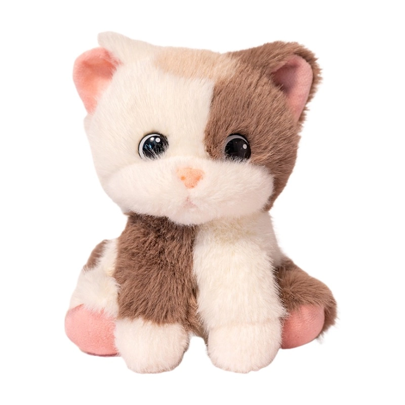 abay 22cm