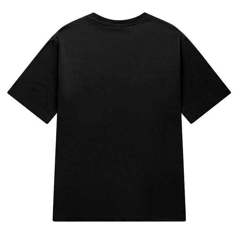 LSVE 200NASA T