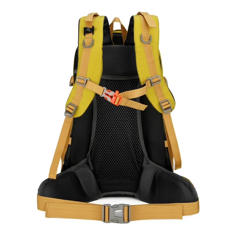 Ceion Keust 35