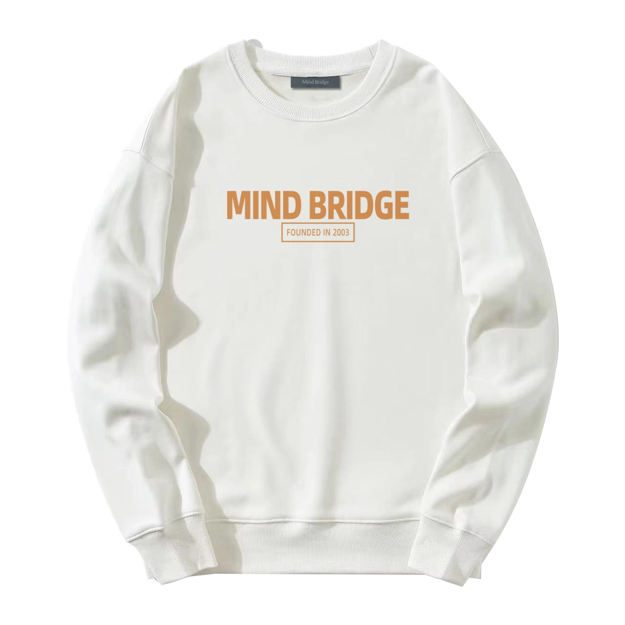 MindBridge