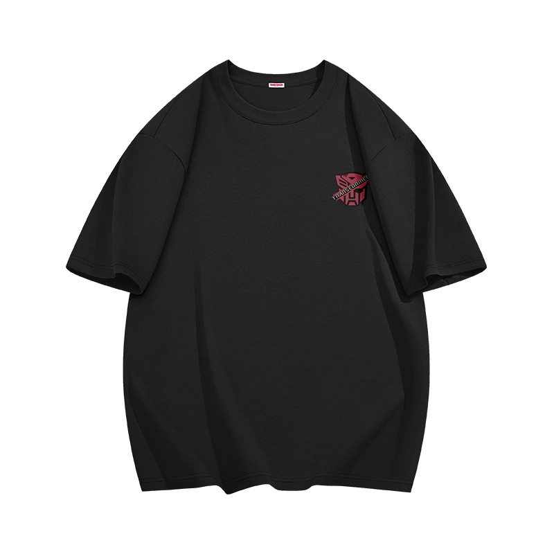TRANSFORMERS T