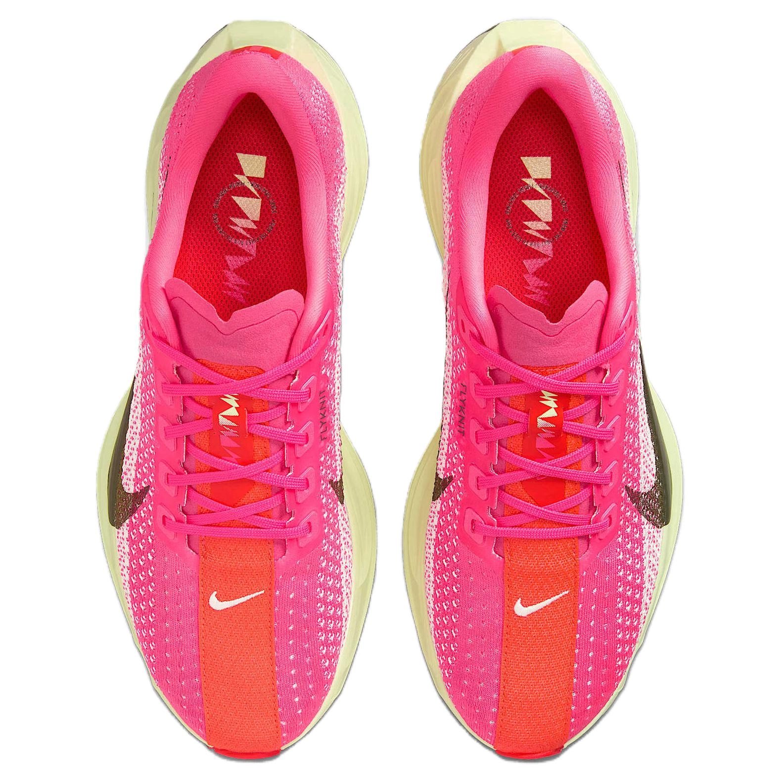 Nike Pegasus Plus