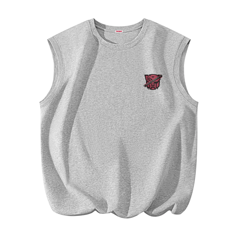 TRANSFORMERS t