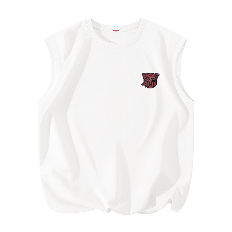 TRANSFORMERS t