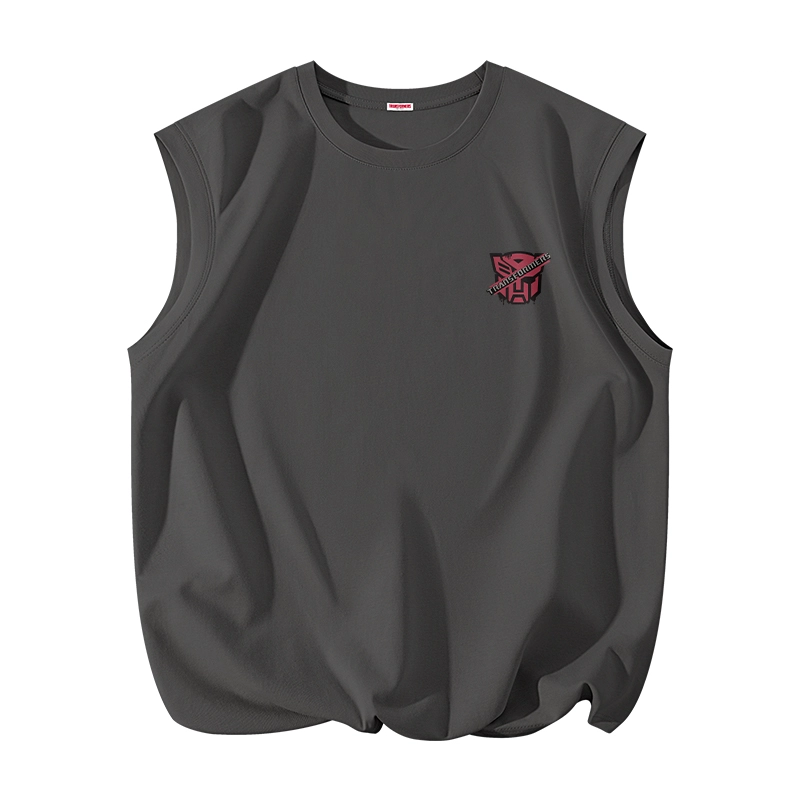 TRANSFORMERS t