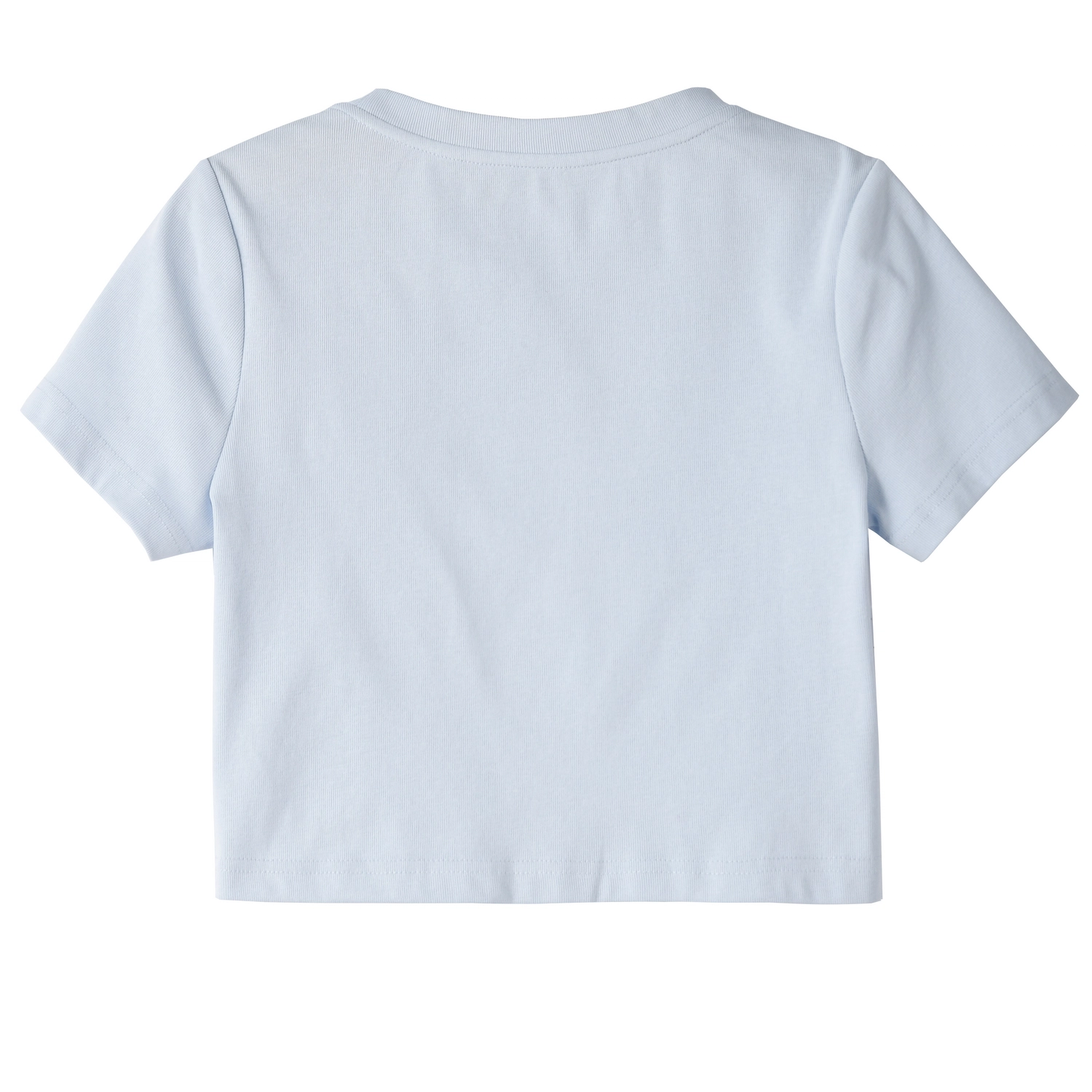 SNBL T