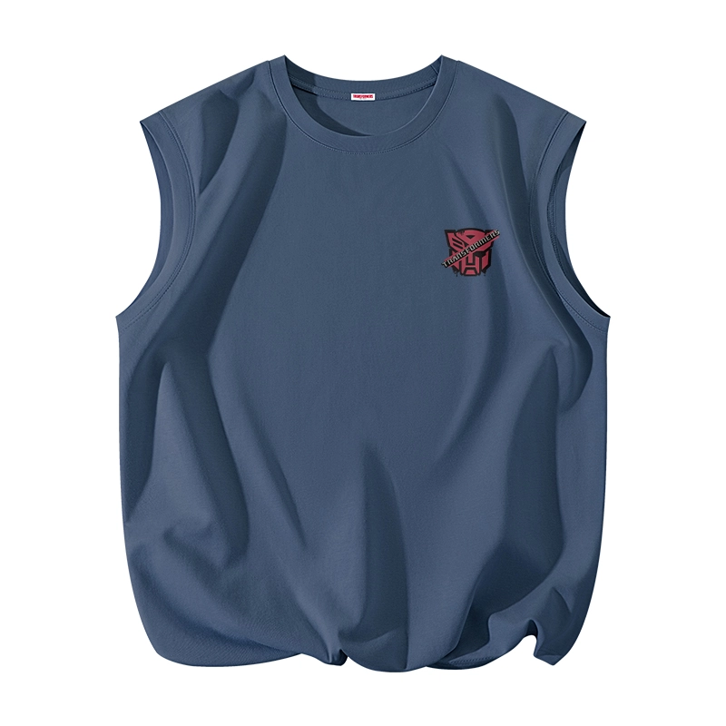TRANSFORMERS t