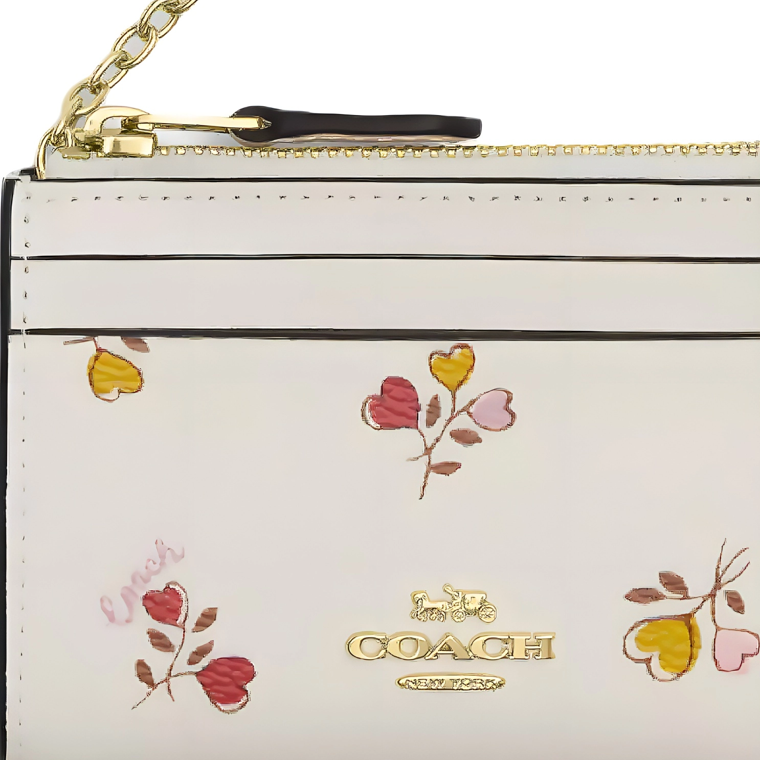 COACH Skinny Id Case 11