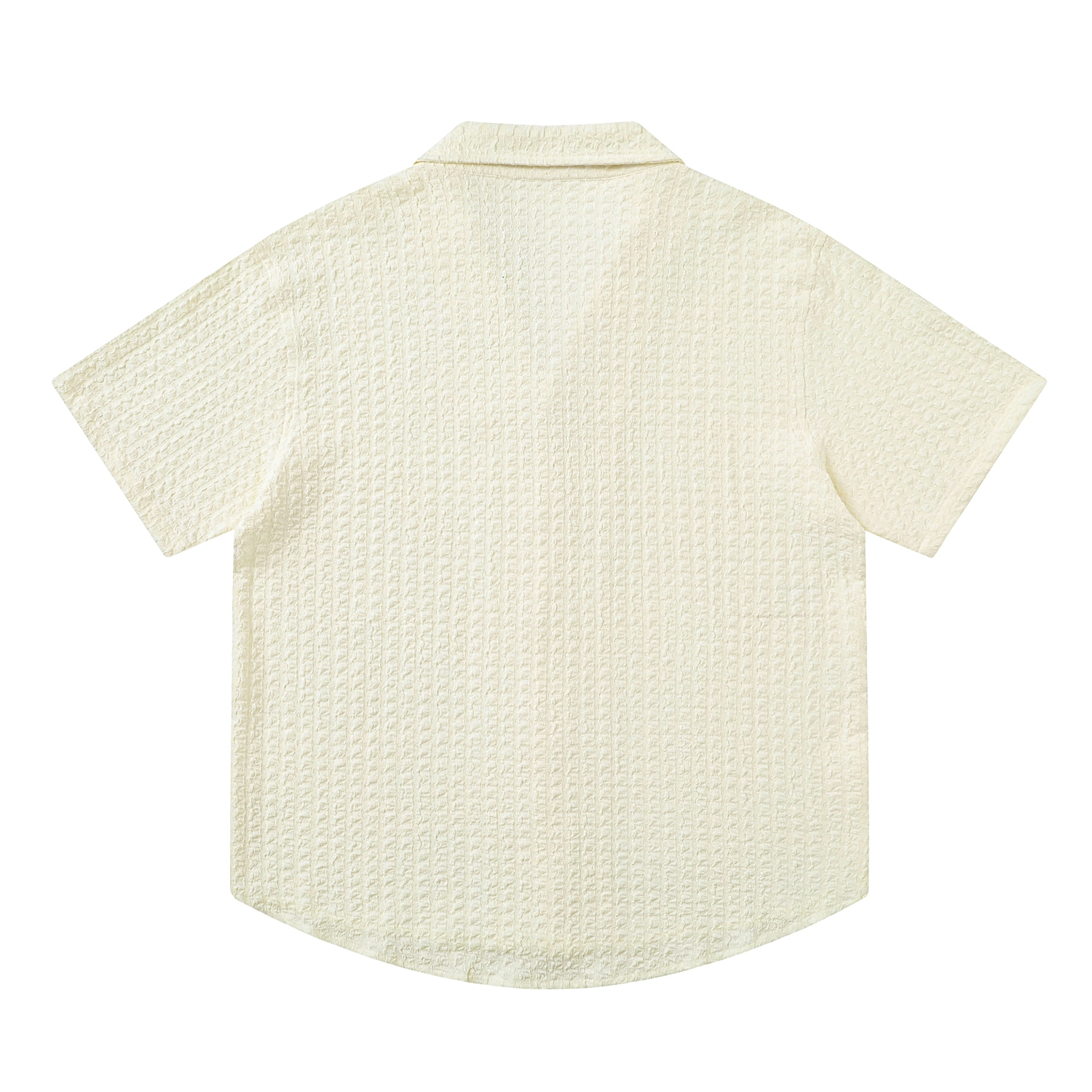BEAR UNION T