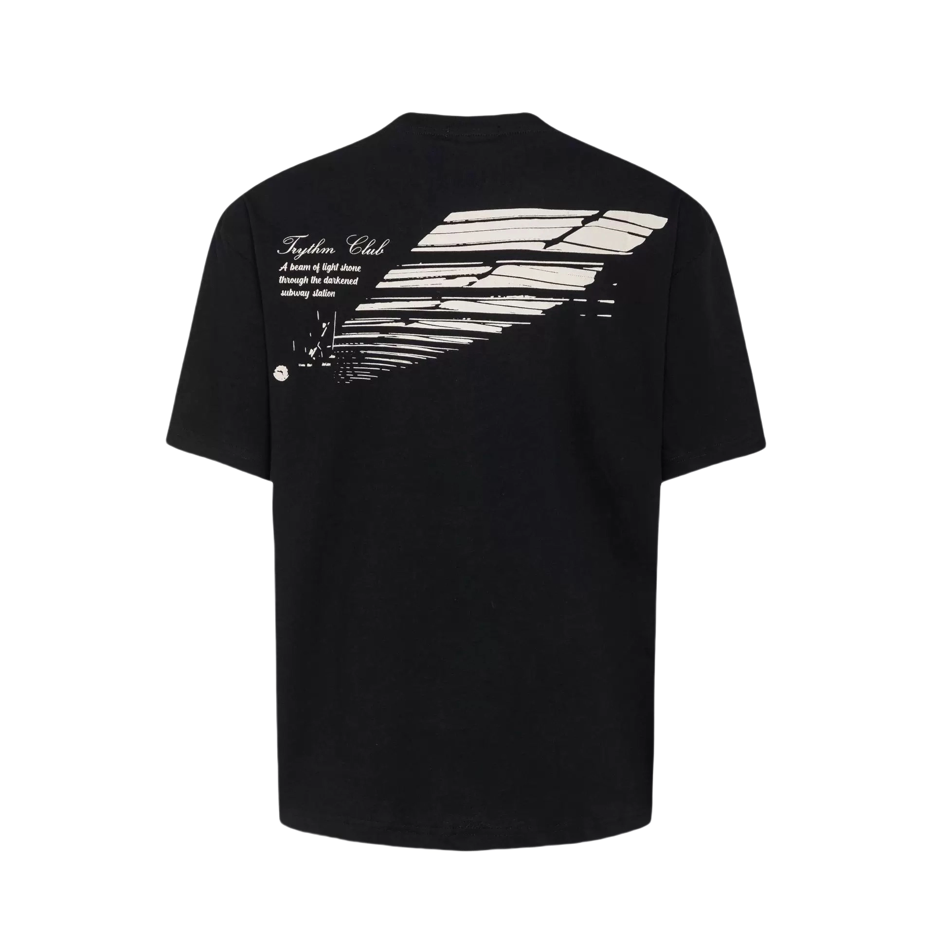 PAINT STAIN T