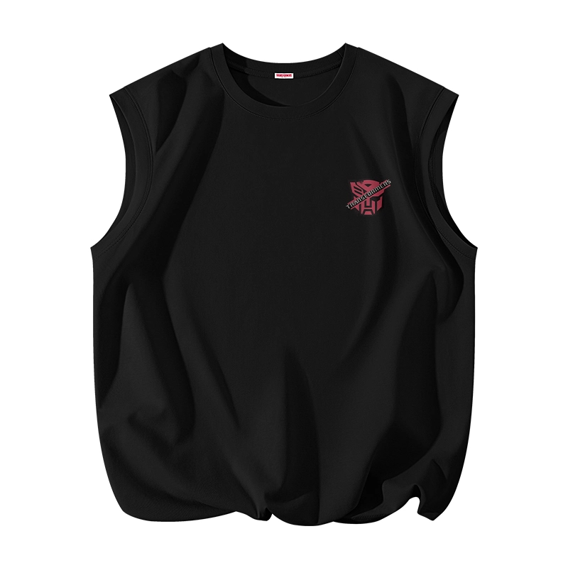 TRANSFORMERS t
