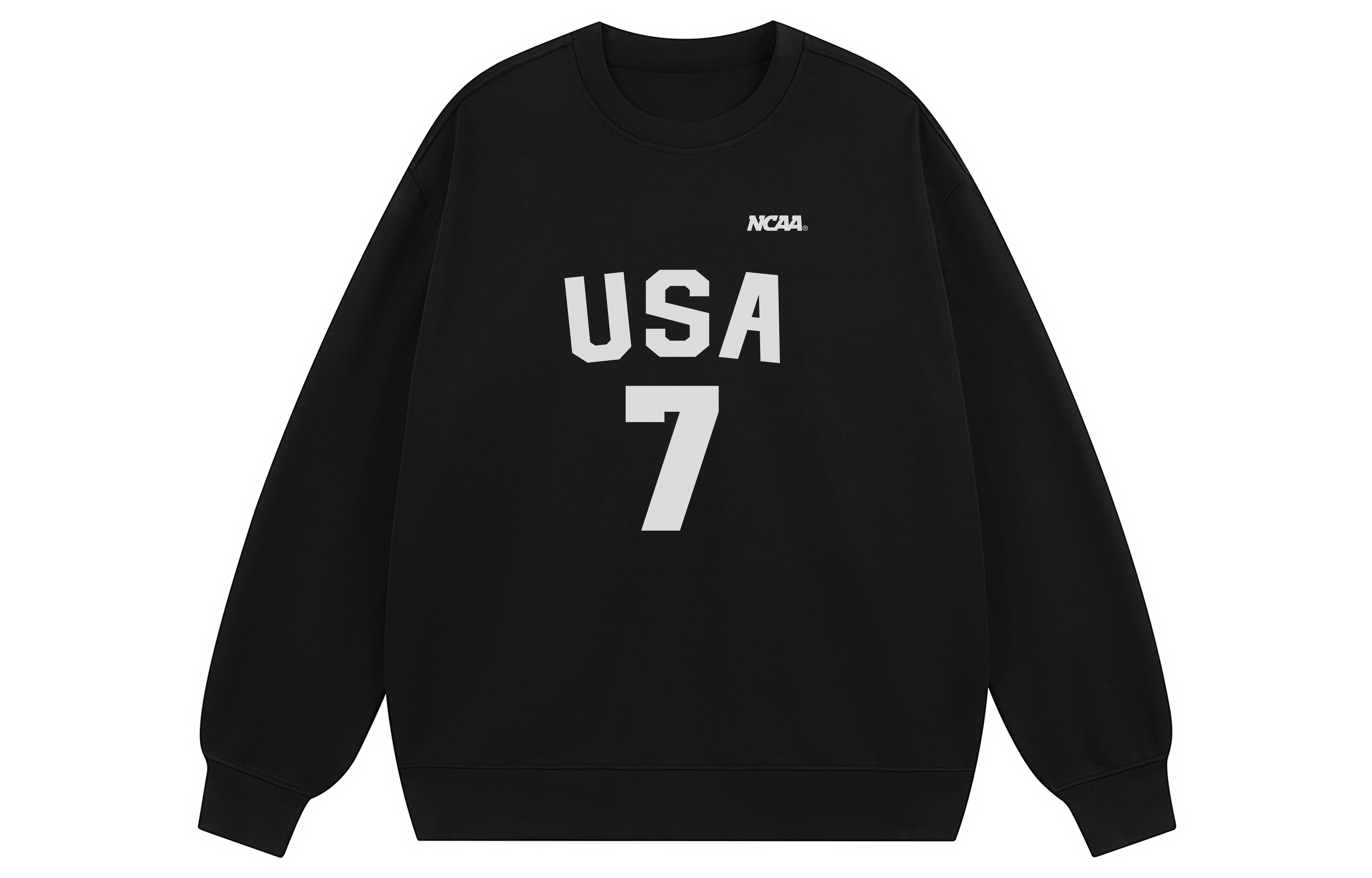 NCAA USA logo7