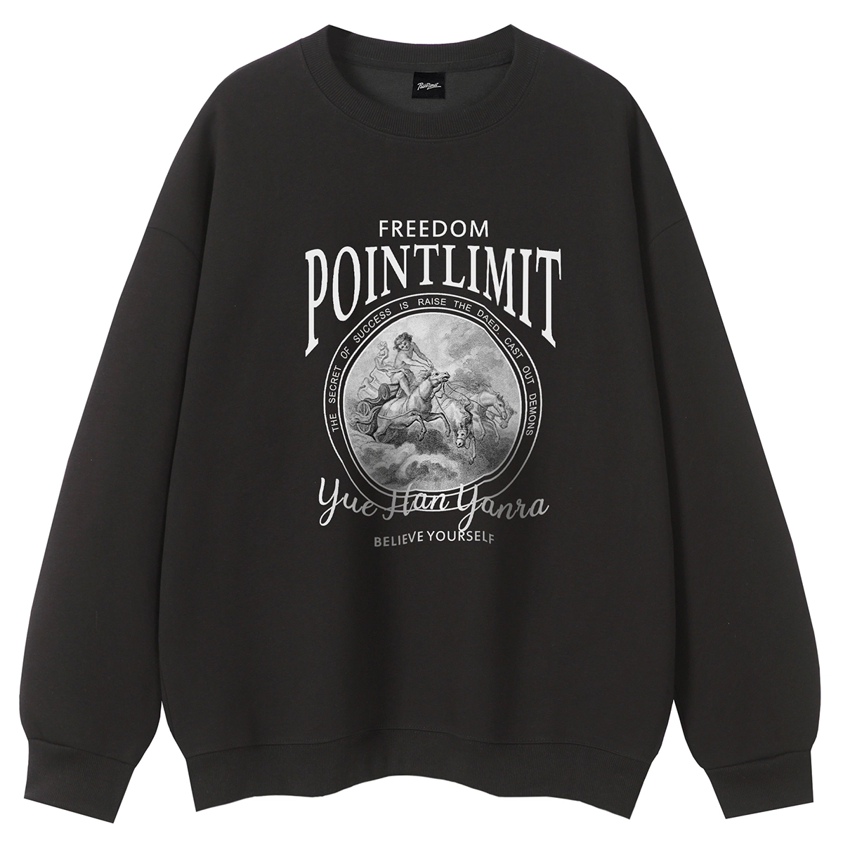 POINTLIMIT Logo