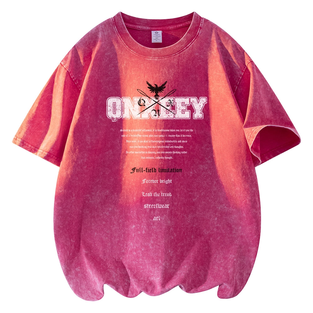 Qnxeey logoT