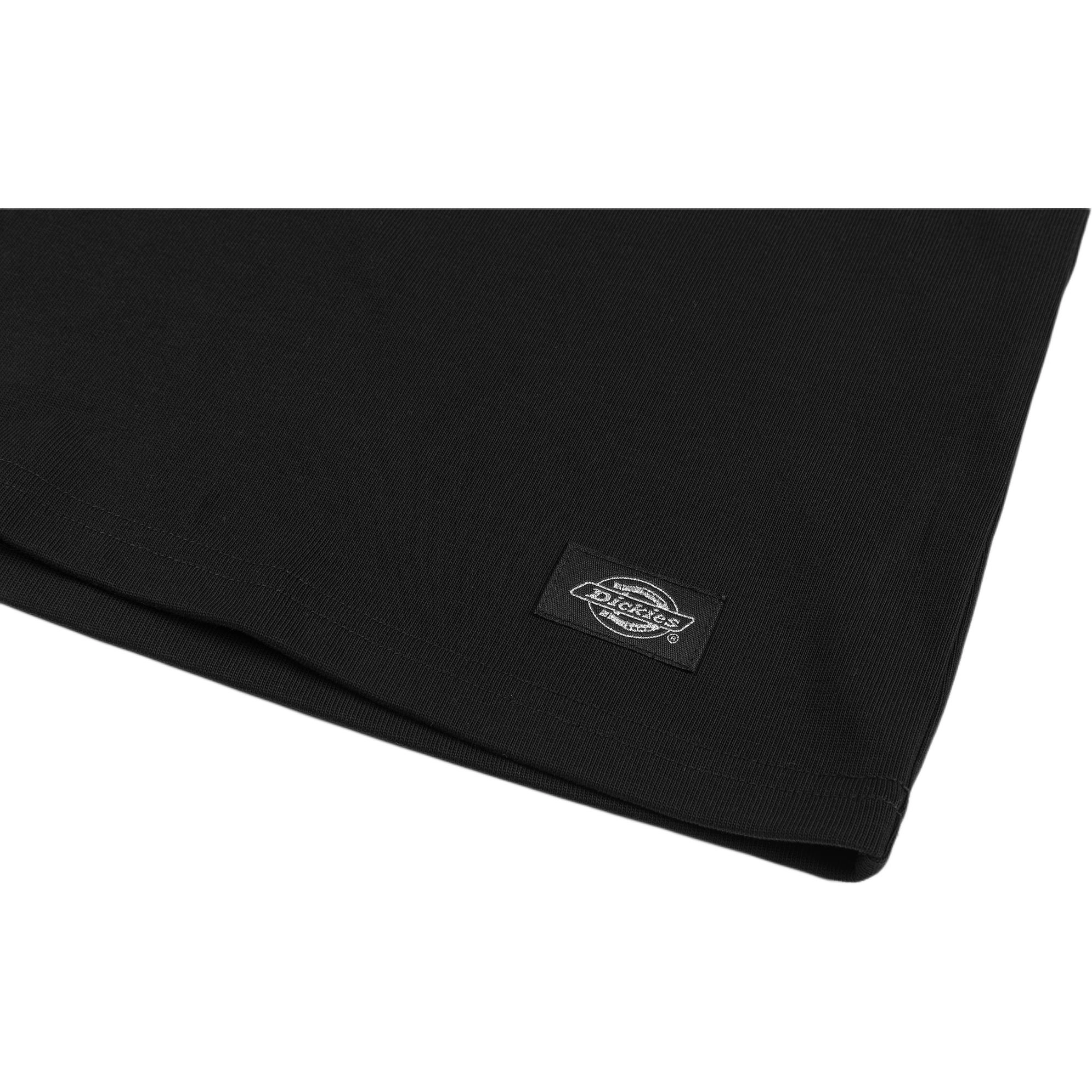 Dickies SS23 LogoT