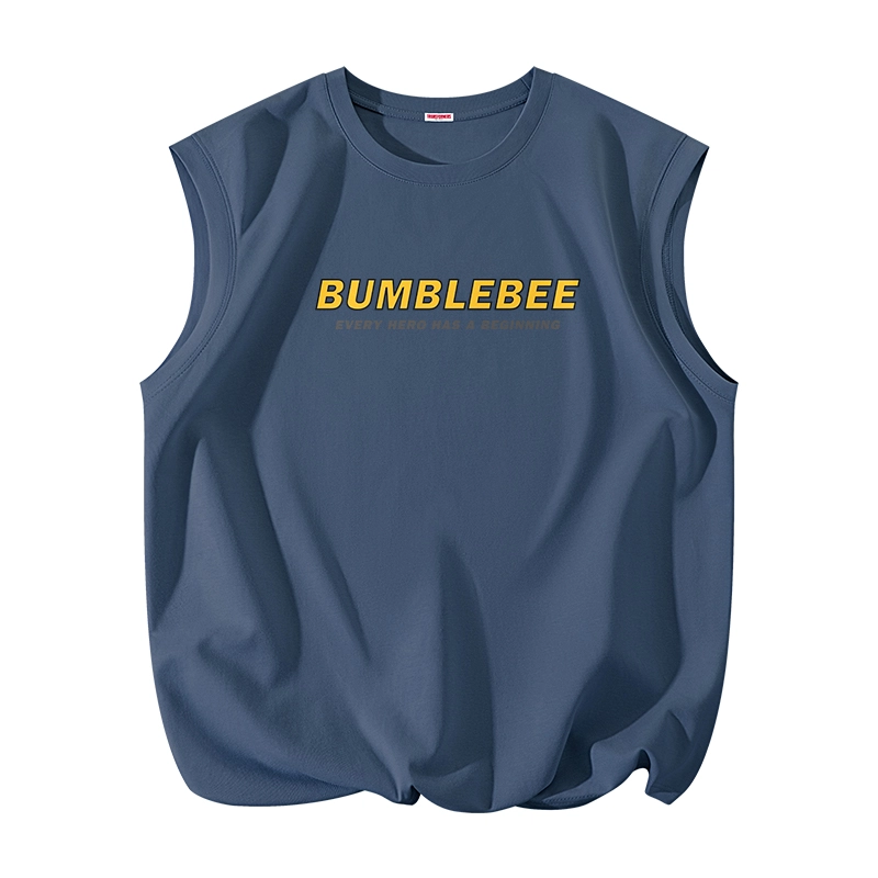 TRANSFORMERS t