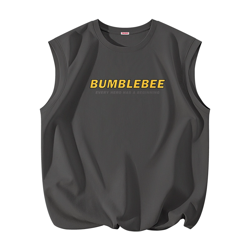 TRANSFORMERS t
