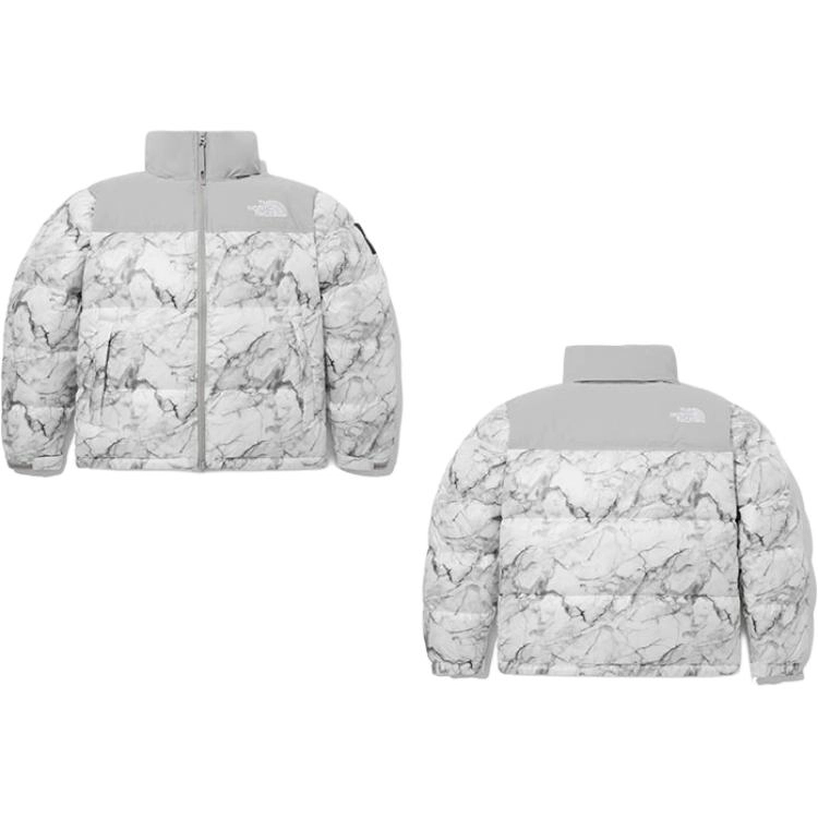 THE NORTH FACE FW23 1996 Eco Novelty Nuptse