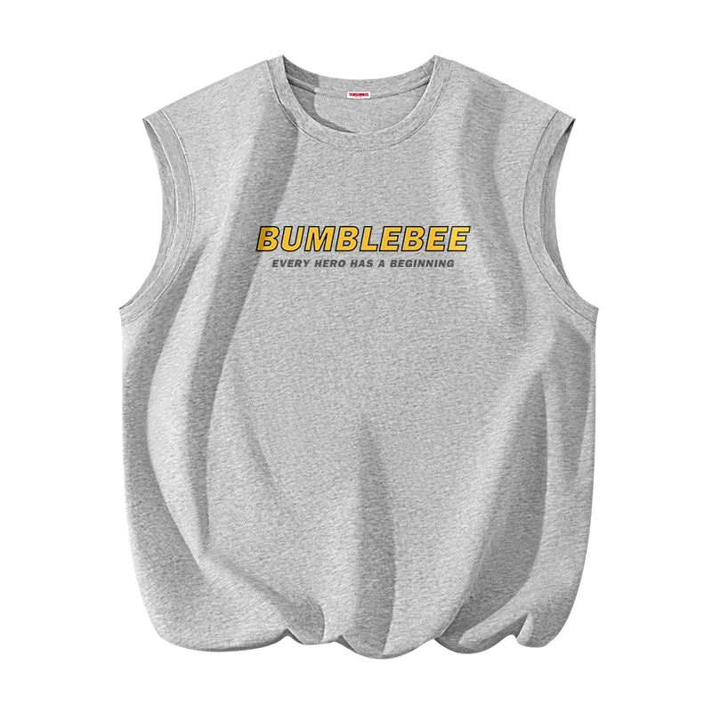TRANSFORMERS t