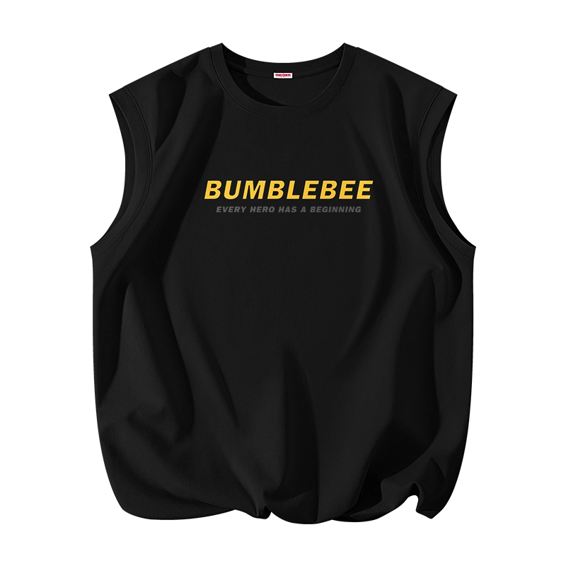 TRANSFORMERS t