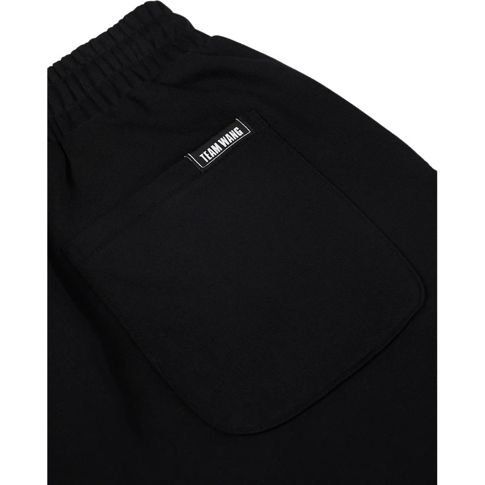 TEAM WANG Logo
