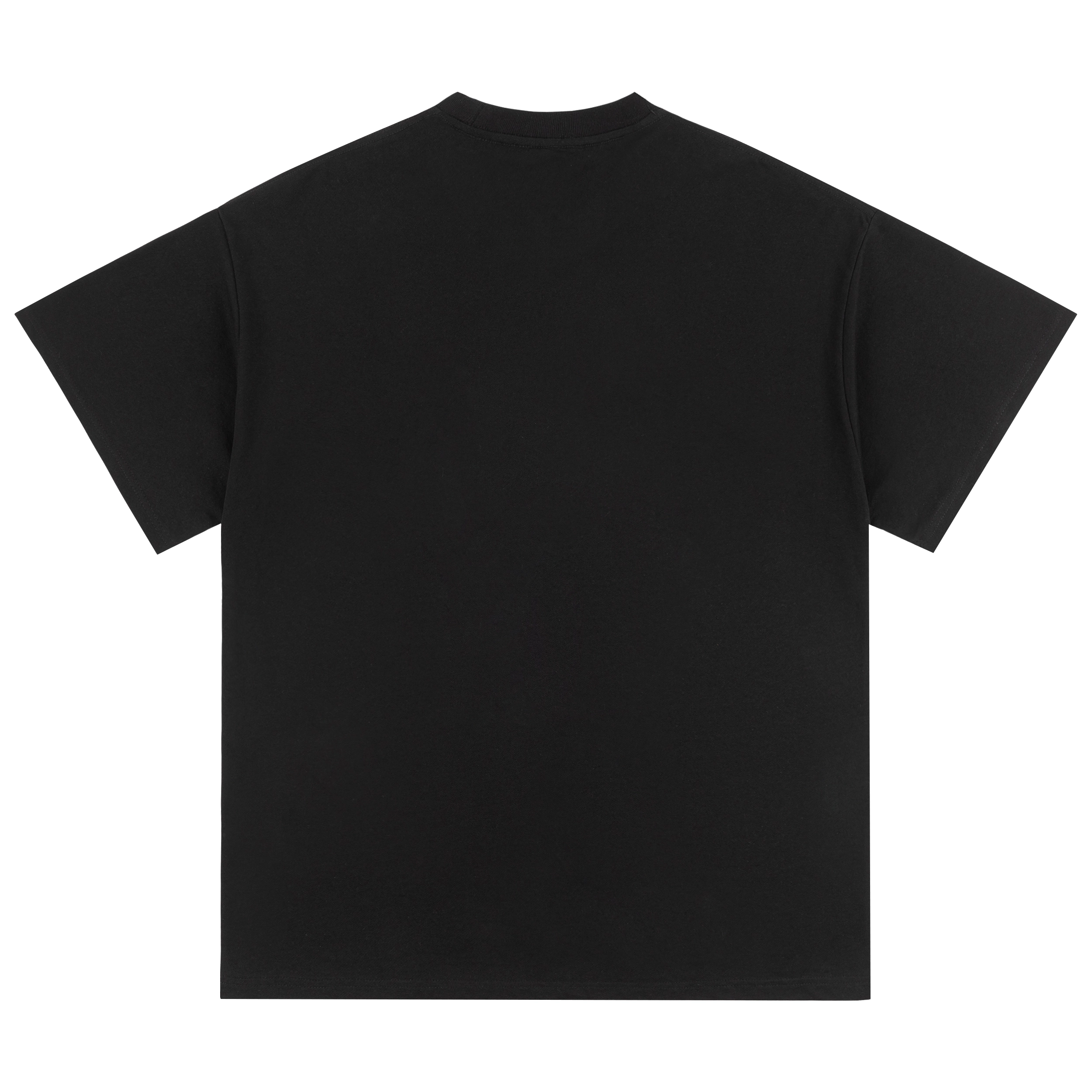 PILOTDRAGON T