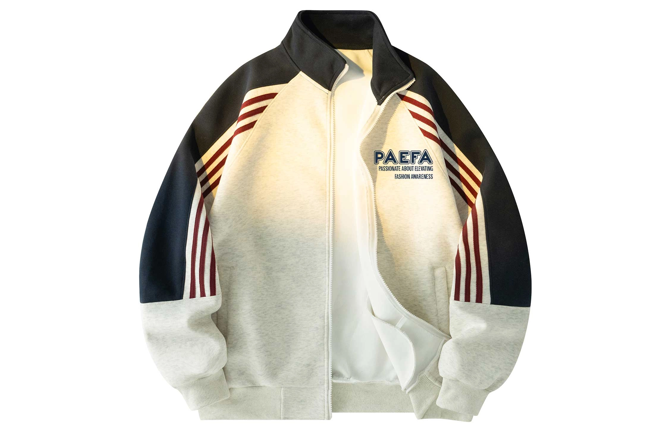 PAEFA Logo