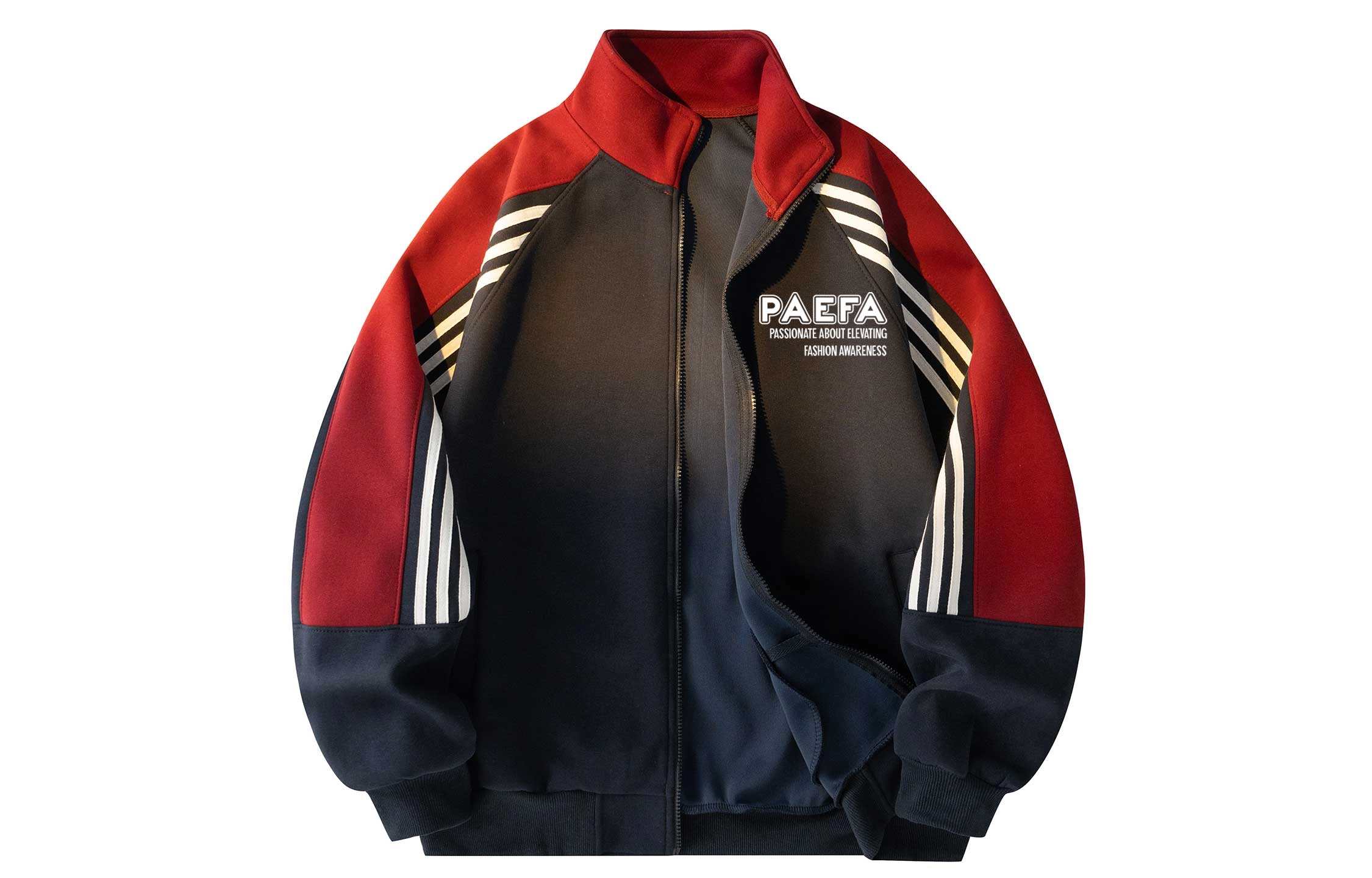 PAEFA Logo