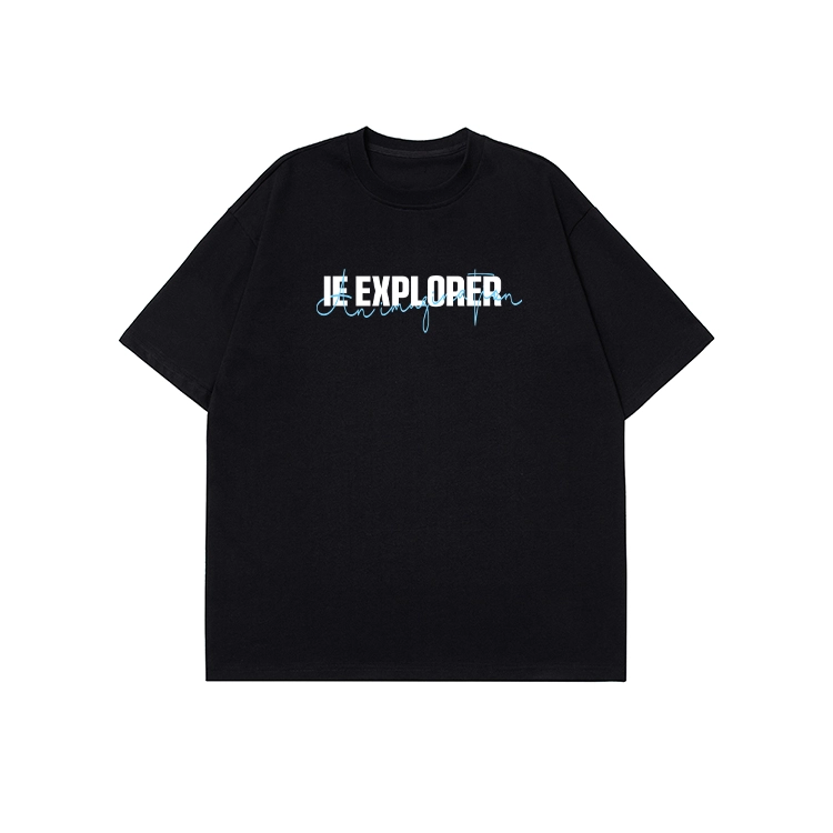 IE logoT