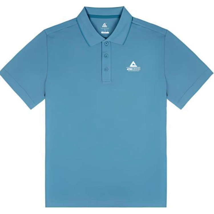 LogoPolo